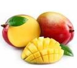 La transformation de la mangue biologique : une opportunité de création de valeur pour les producteurs béninois